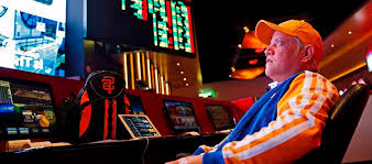 Как войти на сайт Lucky Duck Casino